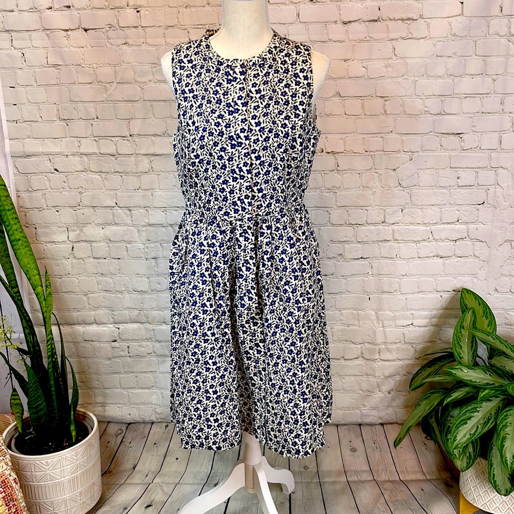 J Crew dress
